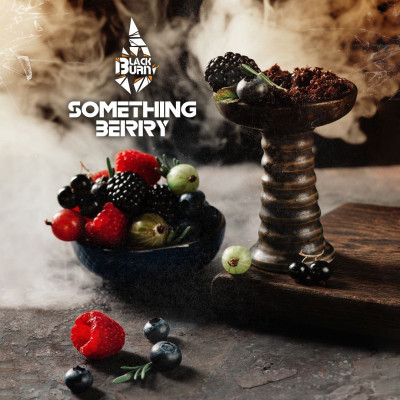 Табак для кальяна Black Burn Something Berry